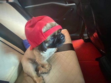 � ������ 26 ������ � ������������� ����: