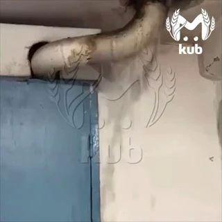 ������������ ��������� ����������������� ������ �. ���������� �������� ��������� � ������������ ��������� �����������, �������������� ������ �� ������������ ������� ���������������� ����