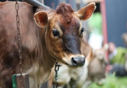 ������ ������� ������ �� ������ � �����. �� ������ ������� ������� �������� ���� � ������ ������ ������ �����������