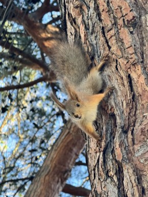 ������ � ���������� � �������� ������� ������