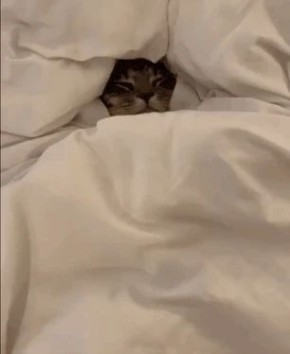 ������� ������ ��� �������� ������� ������