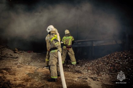 ��� ������: ������������ ���������� �� ��������� ����� �� ������