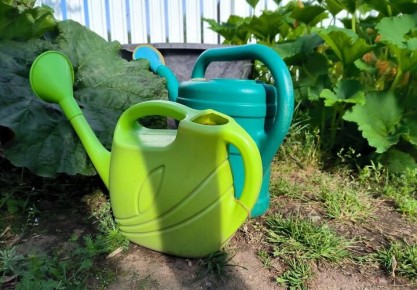 �� ��� ����� �������� ��������� �������? ����������� ��������� �������� �� �������������� �����. ����������� ���� ������, ������� � ���� ��������� ����