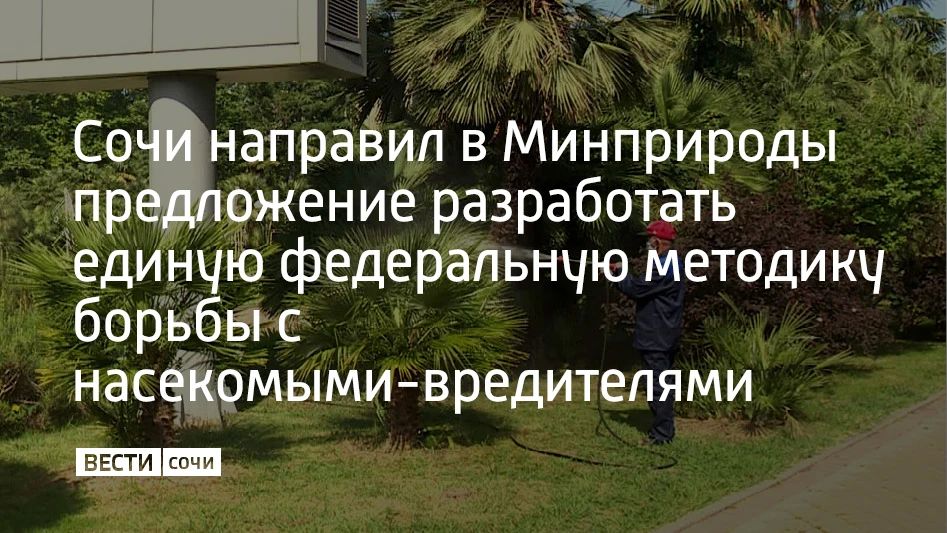 ����� � ����� ����������� � �������������� ����������� ���������� � ���������� ������� ����������� �������� ����