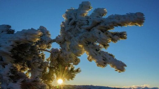 ����������� � ����� �� -15 �������� ������: ����� ��� ����� ���������