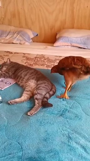 � ����� ��� ��� ����� ��� �� �����������!