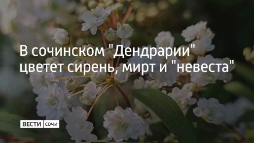 � ��������� "���������" ������ ������, ���� � "�������"