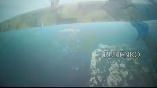 ������ �������: ��������� ����-������������� �������������� ����������� � ��������� ���� ���������� ��� ������������ ��� �� ���������� ����������� � ����������� �������