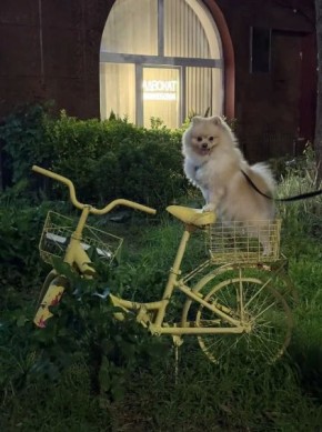 � ������ �� 4 ��� . � ������������� ���� ������� � ������������
