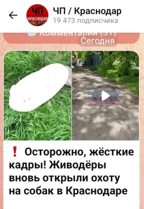 � ���������� ����������� �������� �������� �� ����� ���������� ����� �� ����� ����������