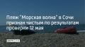 Пляж "Морская волна" в Лазаревском районе Сочи проверили 12 мая — берег и вода чистые