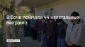 � ���� ���������� �������� ���������� ��� ��������� � �������� ��� ������� ��������� ������ ���������� ������� ���� � ������ ���������� ���������� �����������