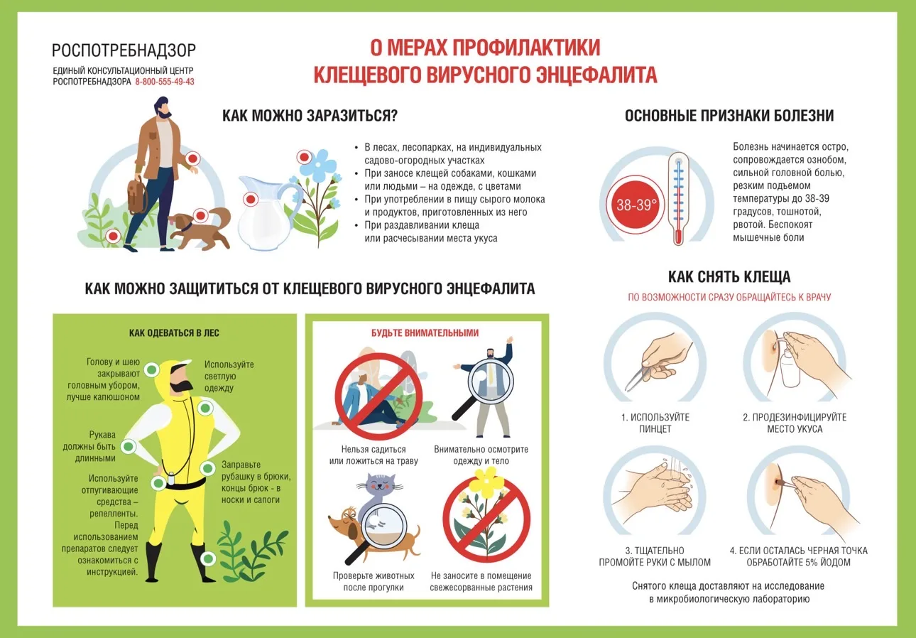 Санпросвет: Профилактика вирусного клещевого энцефалита