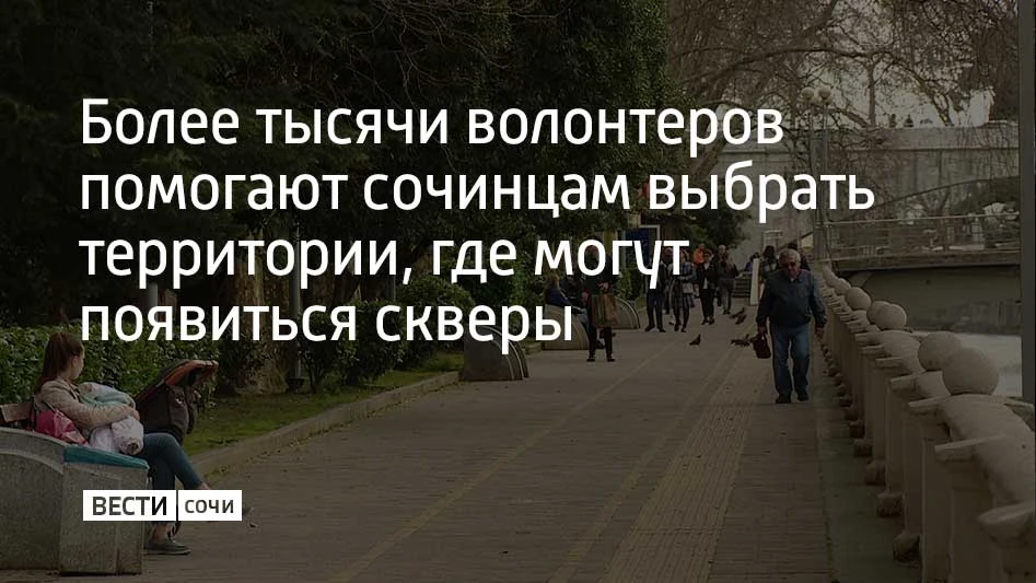 В Сочи более тысячи волонтеров помогают жителям принять участие в голосовании по федеральному проекту "Формирование комфортной городской среды"