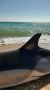 ��������� ��������� �� ����� �����
