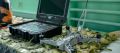 1,5 ���. ��������� ����� �������� ����� ���� "������ ������ �������"