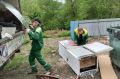В Сочи продолжается работа по вывозу несанкционированных скоплений мусора
