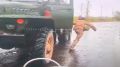 Дроноводы ВДВ сожгли украинский «Град» на Запорожском направлении