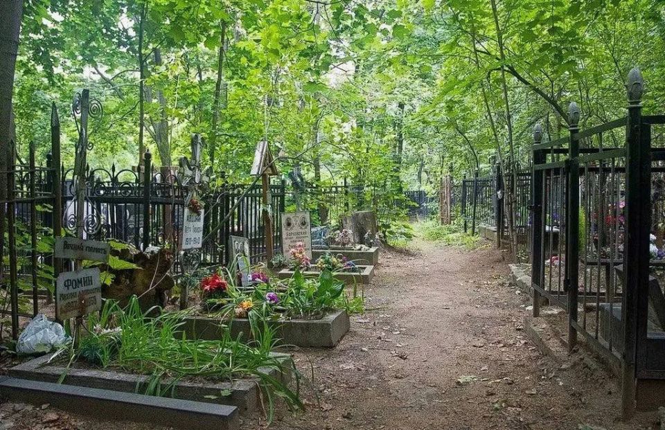 Под Краснодаром директор кладбища и его сообщники торговали местами под могилы, получив более 7,8 млн рублей взяток и присвоив 1,9 млн рублей