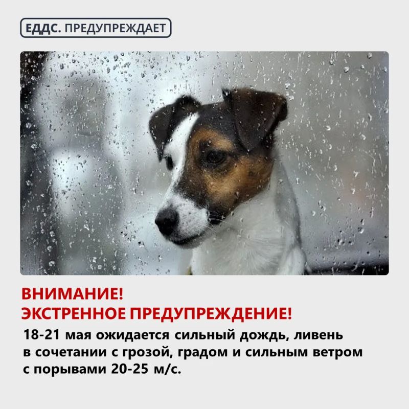 Внимание! Экстренное предупреждение!