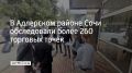 Рабочая группа в Адлерском проверила торговые точки и выявила нарушения