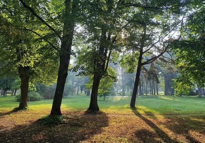 В Женеве отпустили вандала, разбившего 160-летний витраж в соборе, ситуация с Эболой в мире серьёзная: что произошло, пока вы спали