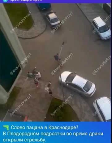 Задержаны участники ночного конфликта в Краснодаре