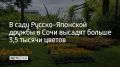 В саду Русско-Японской дружбы в Сочи высадят больше 3,5 тысячи цветов