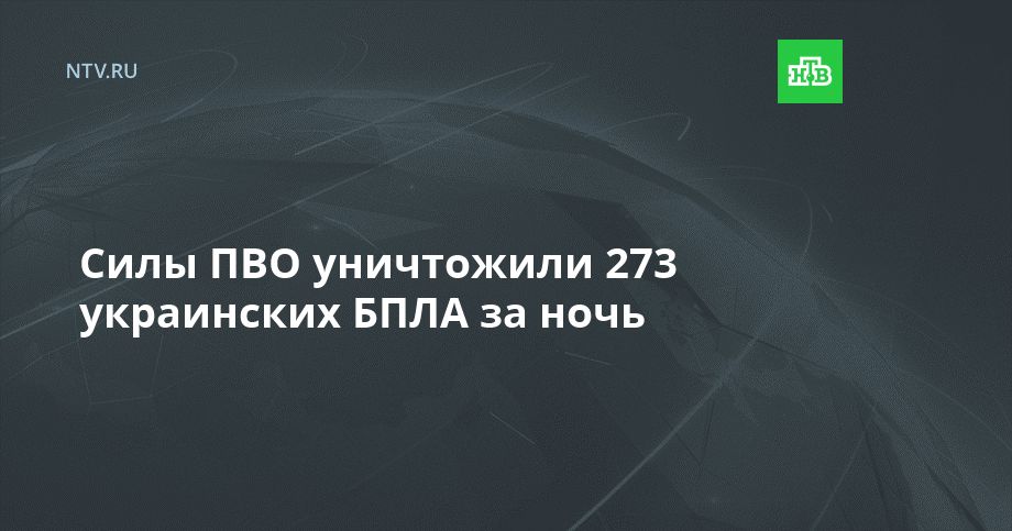 Силы ПВО уничтожили 273 украинских БПЛА за вечер и ночь
