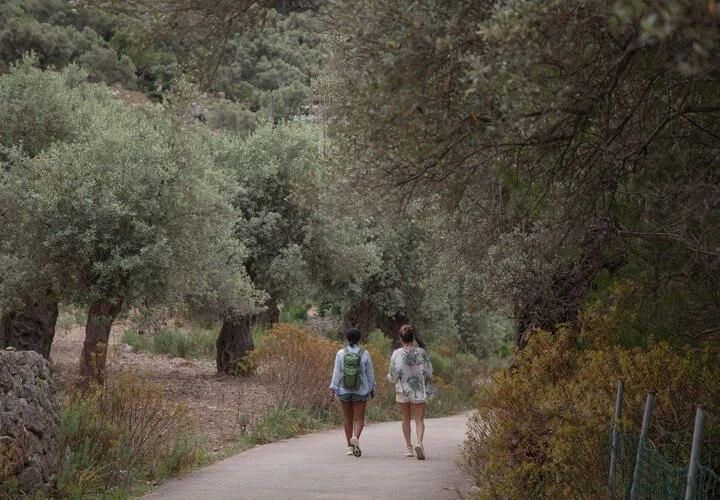 Трое раненых и два пожара в результате атаки ВСУ, США угрожает аннулировать визы дипломатов Палестины при ООН: что произошло, пока вы спали