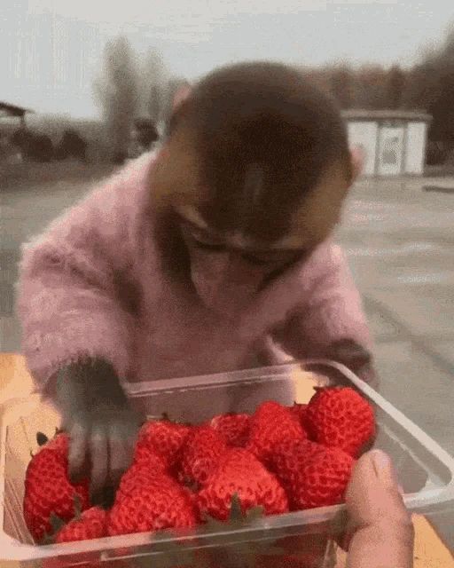 Диетолог назвала безопасную дозу клубники на день