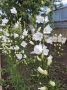 � ������ �� 24 ��� . � ������������� ���� ���������� ����������