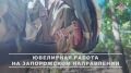 Саперы Новороссийского соединения ВДВ разминируют пути снабжения подразделений на Запорожском направлении