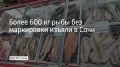 Сотрудники отдела экономической безопасности и противодействия коррупции УВД по Сочи проверили точки продажи рыбы