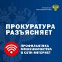 Новые «жертвы» мошенников – владельцы домашних животных