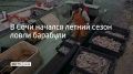 Сочинские рыбаки выходят в море за барабулей