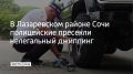 Сотрудники Госавтоинспекции и отдела по исполнению административного законодательства УВД по Сочи проверили автомобили, которые перевозят пассажиров на горных маршрутах