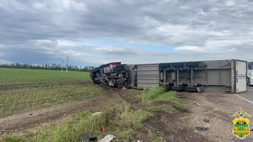 Ребенок и водитель погибли в ДТП в Усть-Лабинском районе