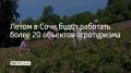 Один из них – самая северная семейная чайная плантацию "Адам Чай" в Лазаревском районе