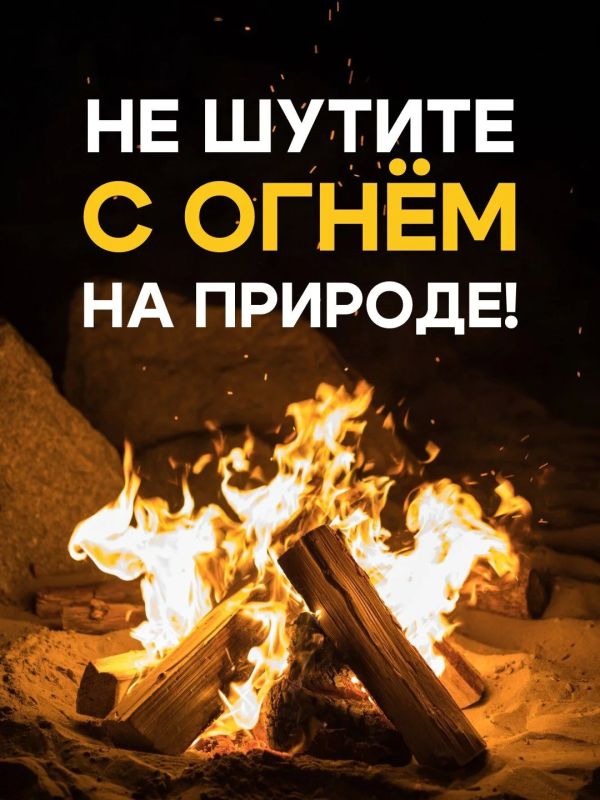 Пожары наносят большой вред экологии, экономике страны и гражданам