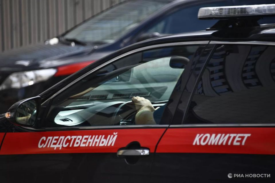 Теракт за $500: два жителя Кубани хотели взорвать административное здание в Туапсе