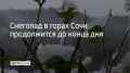 �������� � ����� ���� ����������� �� ����� ���