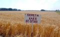 Сохранить урожай от огня – «Священный долг каждого»