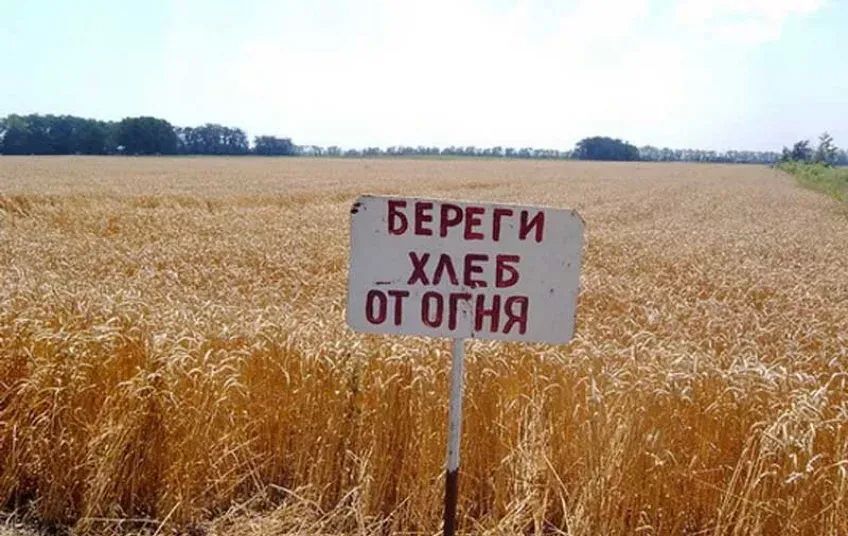 Сохранить урожай от огня – «Священный долг каждого»