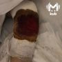 Пенсионер дважды переехал 9-летнюю девочку в Краснодаре и избежал уголовки