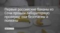������ ���������� ������ �� ���� ������ ������������ ��������: ��� ��������� � �������