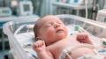 С начала года на Кубани родились больше 650 детей, зачатых с помощью ЭКО