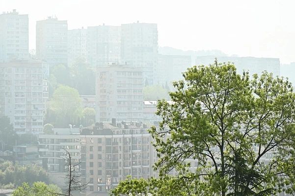 Ночью в Сочи ожидается туман