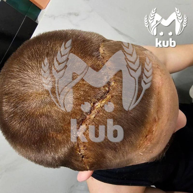 Боксёр, избивший школьника в Любимово, продолжает представлять краснодарскую СШОР № 9 на турнирах