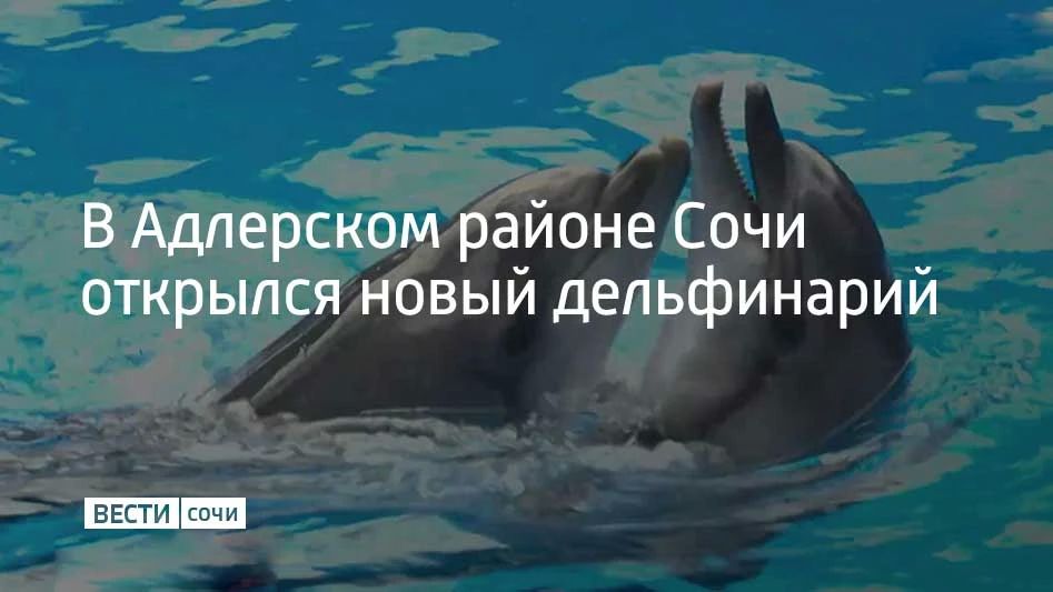 В Адлерском районе Сочи открылся новый дельфинарий